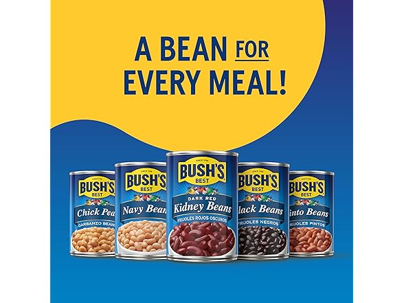 Bush's Canned Black Beans (Pack of 1)
