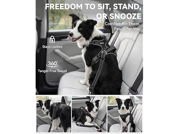 Joytale 3-in-1 Bungee Dog Seat Belt
