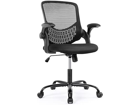 OLIXIS Ergonomic Computer Desk Chair