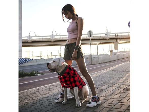Plaid Dog Shirt Red Buffalo Dog Outfit Small