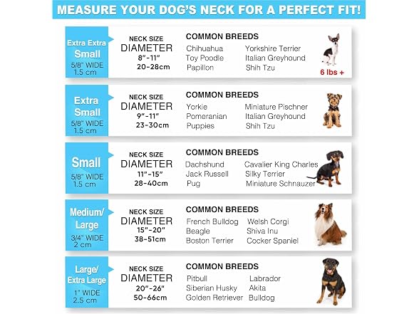 Pawtitas Lumberjack Padded Martingale Collar