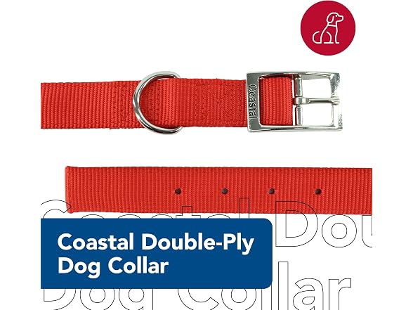 Coastal Pet - Double-Ply Dog Collar, Red, 1" x 24"
