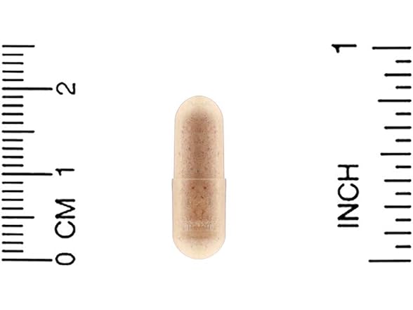 NATROL Pycnogenol 50 Mg 0.02 Pounds