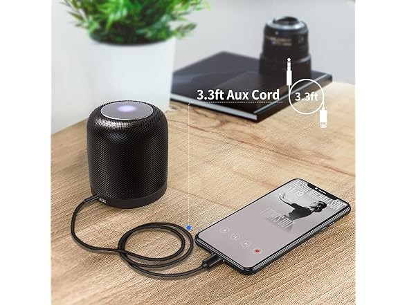 iSkey Aux Cord for iPhone