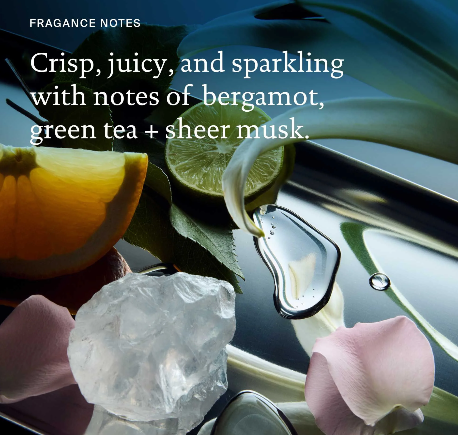 Living Proof Perfect Hair Day Shampoo, 2 oz - Gallery 17