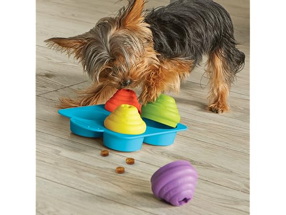 Brightkins Cactus Surprise! Treat Dispenser