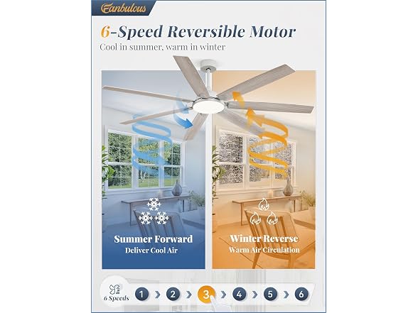 Fanbulous Gray 72" Ceiling Fan with Lights