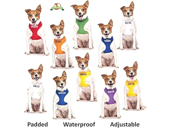 NO Dogs Dexil Friendly Dog Collars