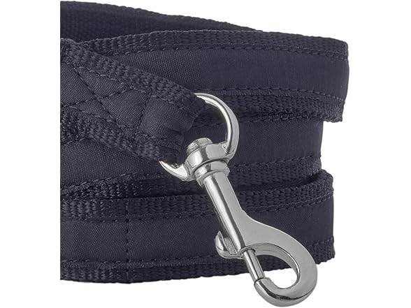 Pet Passion Recycled Ribbon Dog Leash 7Ft.