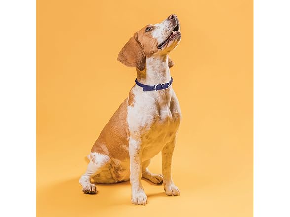 Dogline 1/3 by 13-16" Round Leather Collar,