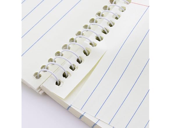 BAZIC 80-Sheet Gregg Ruled Steno Book