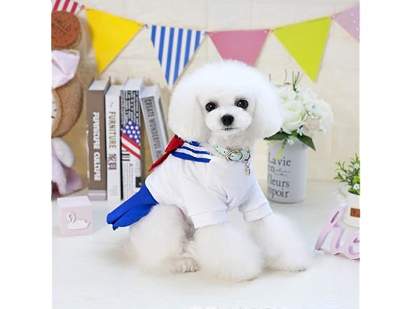 Tangpan Bow-Knot Student Cosplay Pet Costume XL