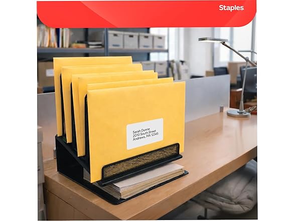 Staples 9 x 12 Kraft Clasp & Moistenable