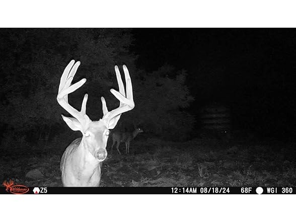 (NEW) Wildgame Orbit 360 Degree Cellular Trail Camera