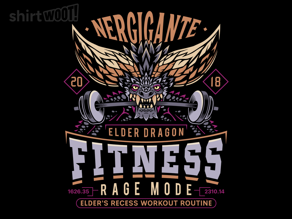 Nergigante Fitness - Gallery 9