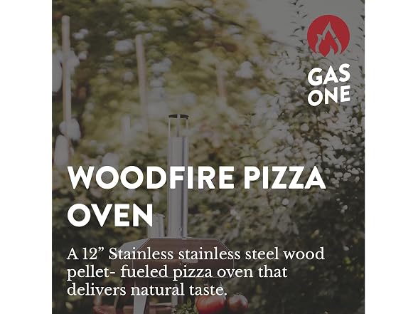 GasOne Wood Pellet 12” Pizza Oven