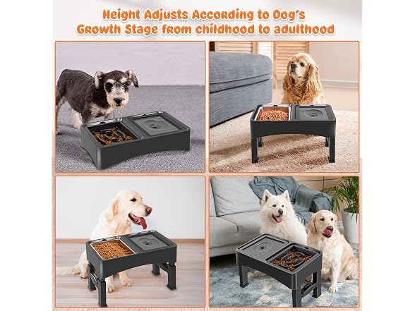 Decflow 3-in-1 Elevated Dog Bowls