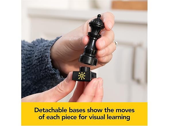 Spin Master Games, Chess Made Simple