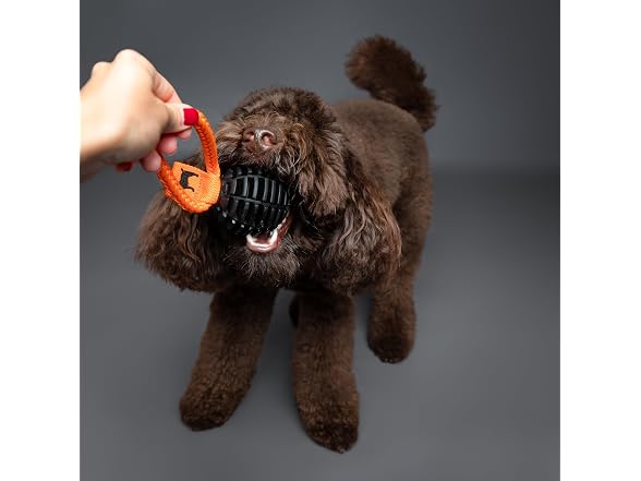 NOAH & PAW Luxury Dog Toy, TPU- Tug Ball, Black