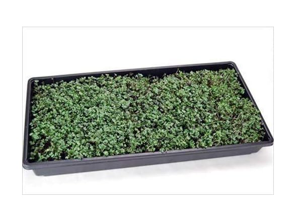 Mountain Valley 100 Plant Grow Kits