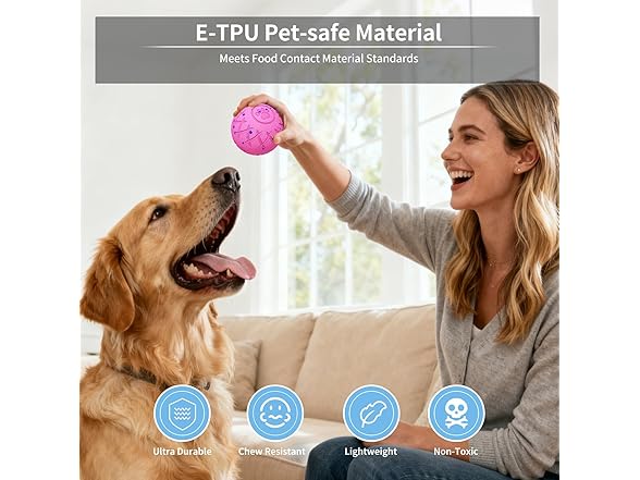 Interactive Dog Toys