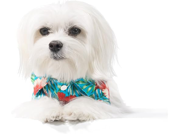 United Pups Hawaiian Shirt for Dogs Small to