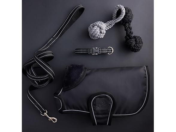 Pet Passion Reflective Durable Dog Leash