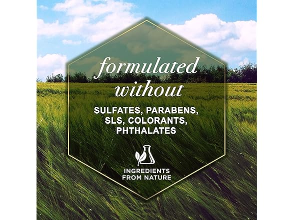 Burt's Bees Dogs Refresh Natural Deodorizer (6 PACK)