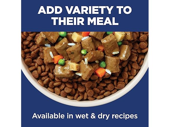 Hill's Science Diet Adult Oral Care Dry Dog Food