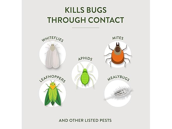 Garden Safe Brand Insecticidal Soap Insect Killer, 3PK