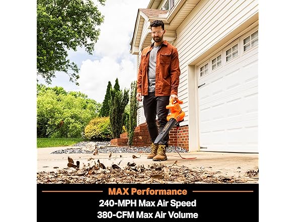 LawnMaster 3in1 Leaf Blower Vacuum 12A