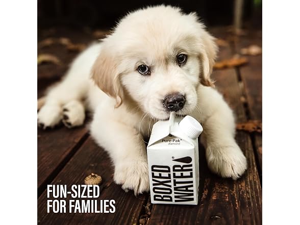 24PK Mini Boxed Water (8.4 oz.) - Gallery 4
