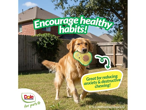 Dole for Pets Dog Toys, Avocado - Gallery 5