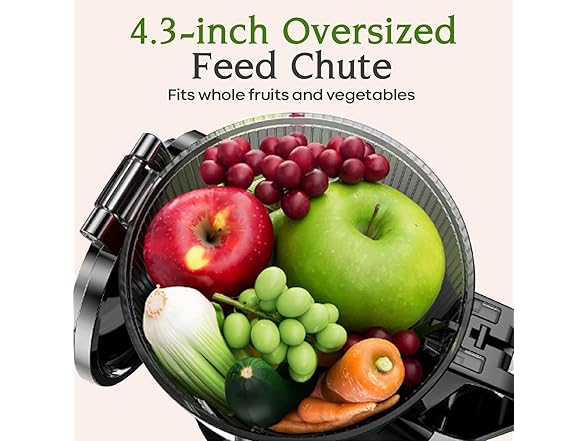 Anybear Cold Press Juicer