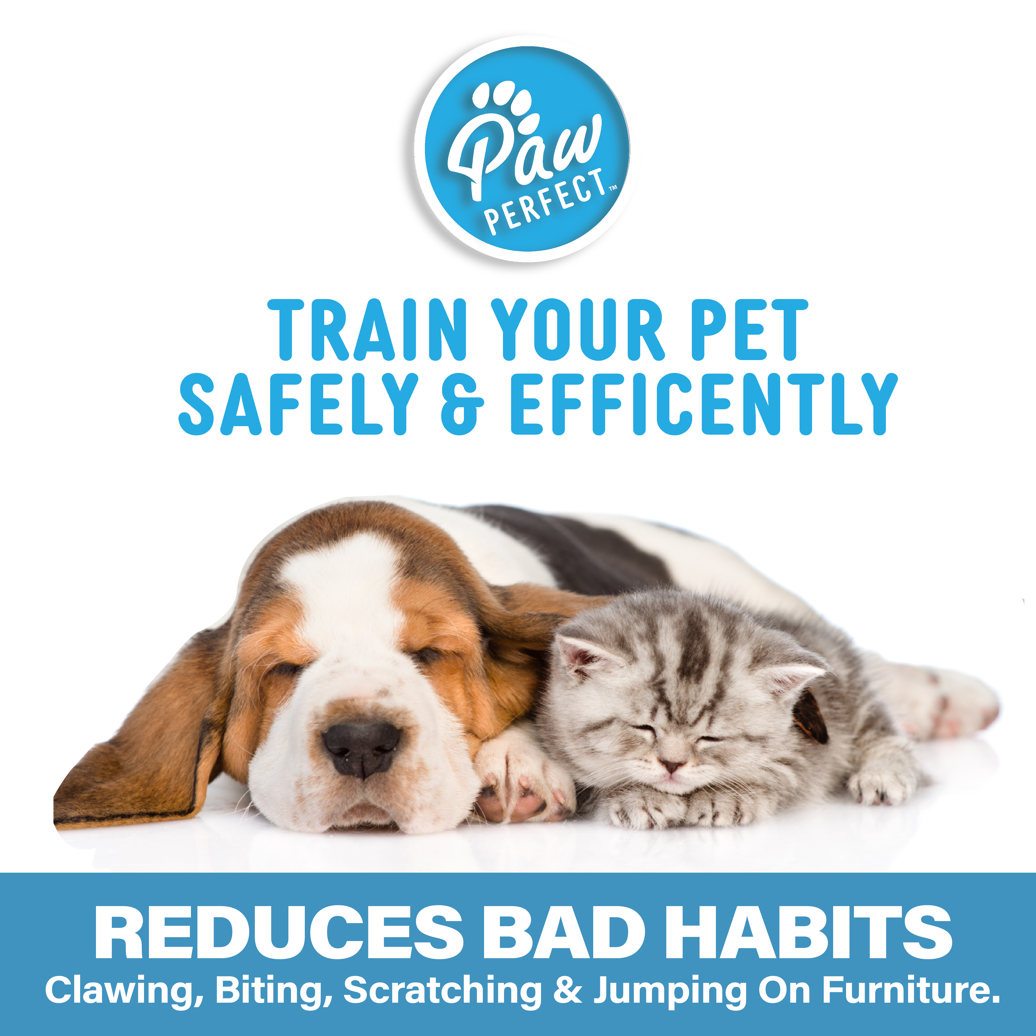 (2 or 3pk) Anti Bark Dog Training Equipment - Gallery 10