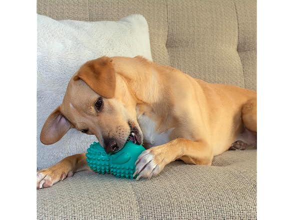 Friends Forever Squeaky Dog Toys with Tennis Ball