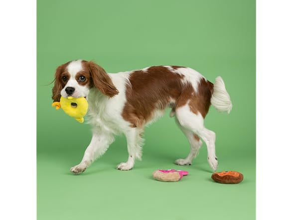 Fringe Studio Plush Dog Toy, 3 Pieces Set, Donuts