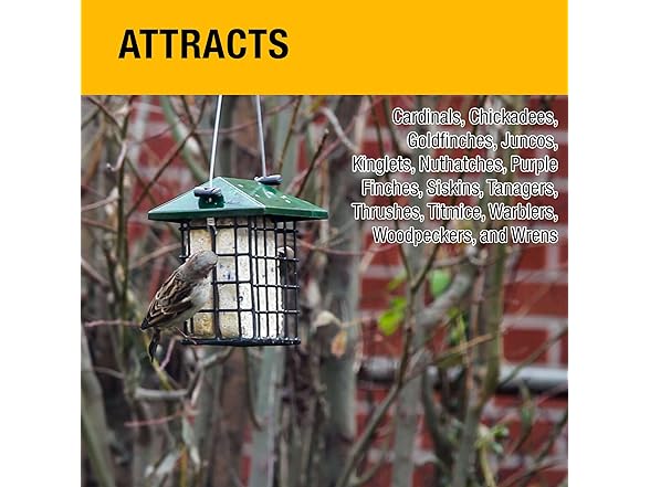 Woodpecker All Season No Mess Suet Cake Birders Pack