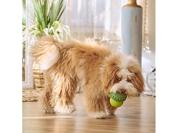 SPOT Treat Tumbler Broccoli – Freezable & Fillable