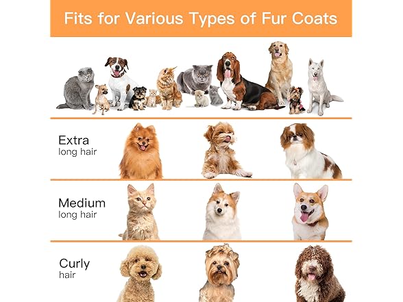 FIXR PG100 FIXR Pet Grooming Vacuum & Dog Hair Vacuum, 1200