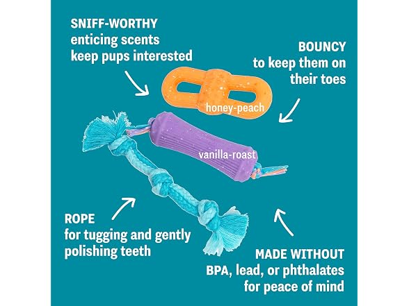 Pupstages Flex-Force Chew Dog Toys 3Pk