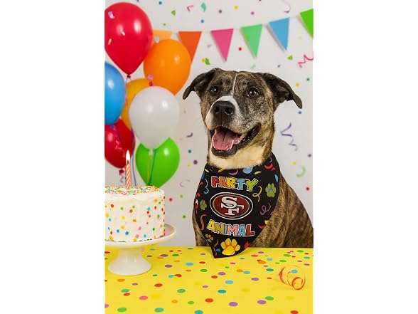 NFL San Francisco 49ers Pet Birthday Bandana
