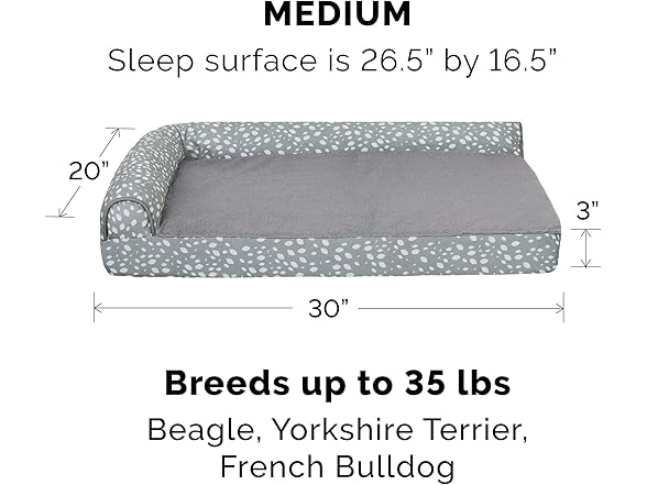 Furhaven Memory Foam Dog Bed for Medium/