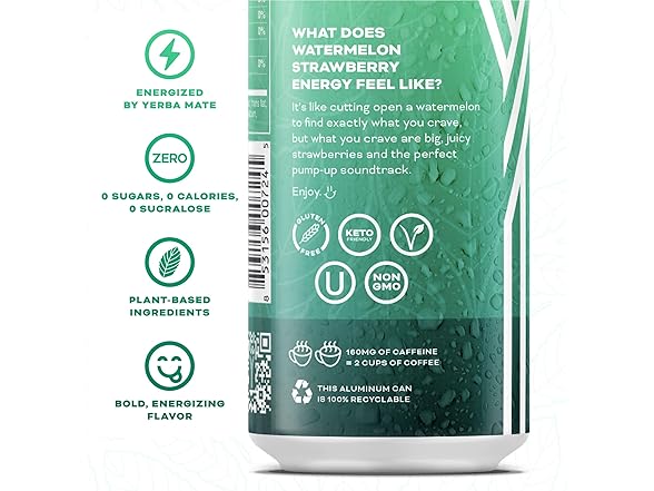 Yerbaé Energy Beverage - Variety Power Pack