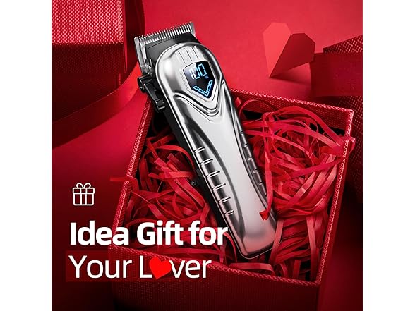 Professional Hair Clippers