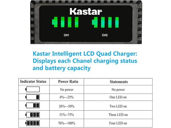 Kastar Intelligent LCD Charger