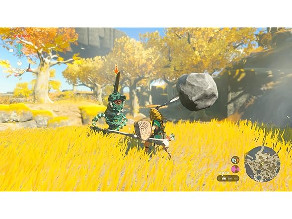 Nintendo ZELDA 045496597092 ZELDA 045496597092