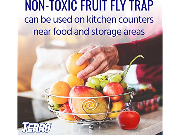 TERRO T2502 Indoor Fruit Fly Trap 642A