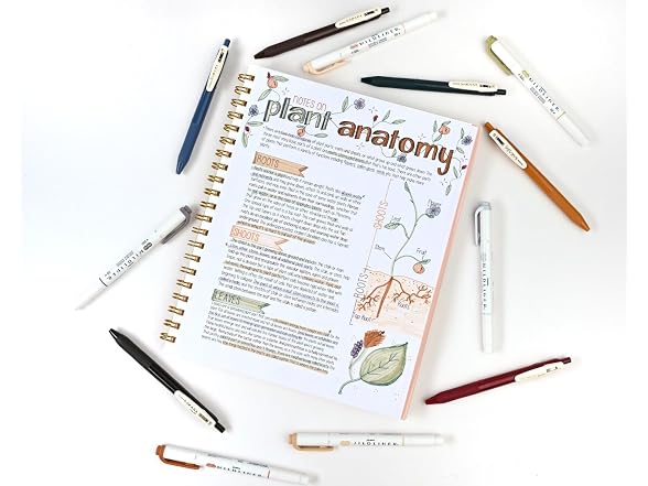 Zebra Pen Sarasa Clip Vintage and Mildliner Neutral Set