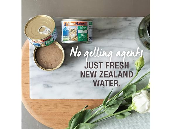 NATURAL Cat Food Lamb And Salmon Can,